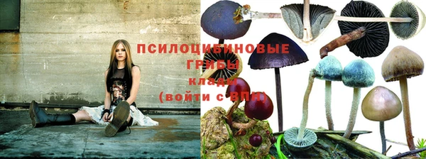 соль ск Нефтекумск