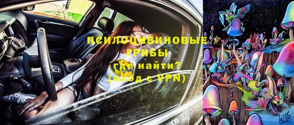 соль ск Нефтекумск